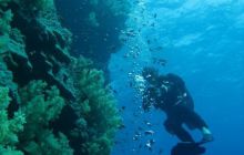 Safari St Johns - październik 2008