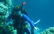 Safari St Johns - październik 2008