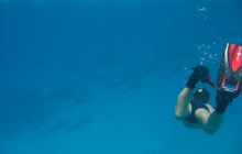 Safari St Johns - październik 2008