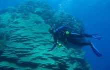 Safari St Johns - październik 2008