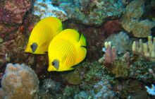 Safari St Johns - październik 2008