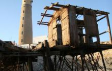 Safari Brothers Islands - maj 2009