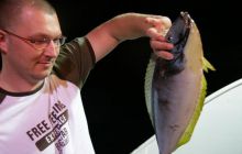 Safari Brothers Islands - maj 2009