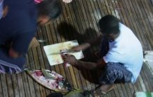 Safari Brothers Islands - maj 2009