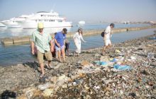 Safari Brothers Islands - maj 2009