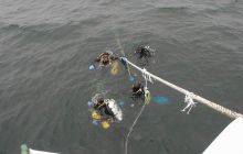 Jan Heweliusz - czerwiec 2004