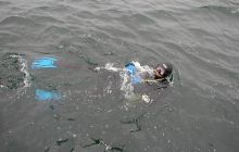 Jan Heweliusz - czerwiec 2004