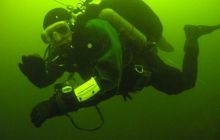 Delfin - marzec 2006