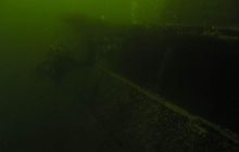 Delfin - marzec 2006