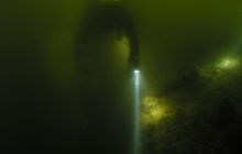 Delfin - marzec 2006