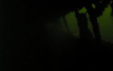 Delfin - marzec 2006