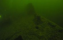 Delfin - marzec 2006