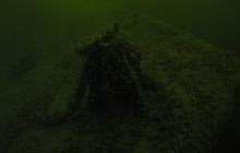 Delfin - marzec 2006