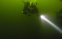 Delfin - marzec 2006