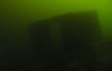 Delfin - marzec 2006