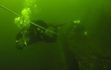 Delfin - marzec 2006