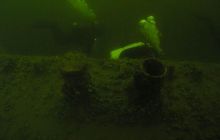 Delfin - marzec 2006