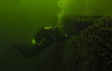 Delfin - marzec 2006