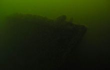 Delfin - marzec 2006