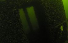 Delfin - marzec 2006