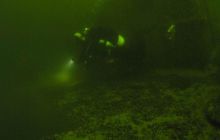 Delfin - marzec 2006