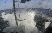 Delfin - marzec 2006