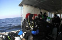 Delfin - marzec 2006