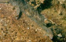 Torpedownia - czerwiec 2006