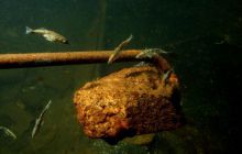 Torpedownia - czerwiec 2006