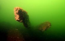 Torpedownia - czerwiec 2006