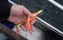 Svanhild i Margartetta - czerwiec 2006