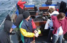 Svanhild i Margartetta - czerwiec 2006