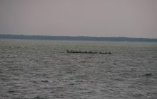 Kujawiak - lipiec 2007