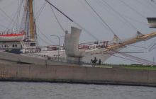 Kujawiak - lipiec 2007