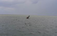 Kujawiak - lipiec 2007