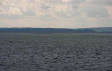 Kujawiak - lipiec 2007