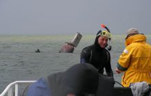 Kujawiak - lipiec 2007