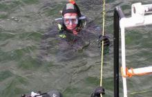 Kujawiak - lipiec 2007