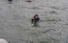 Kujawiak - lipiec 2007