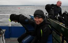 Wraki - sierpień 2007