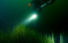 Jezioro Jasne - grudzień 2008