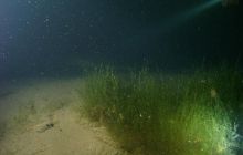 Jezioro Jasne - grudzień 2008