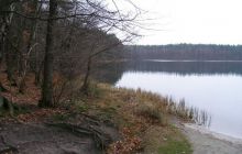 Jezioro Jasne - grudzień 2008