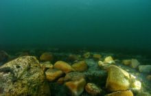 Jezioro Jasne - grudzień 2008