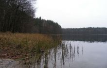 Jezioro Jasne - grudzień 2008