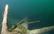 Jezioro Jasne - grudzień 2008