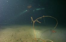 Jezioro Jasne - grudzień 2008