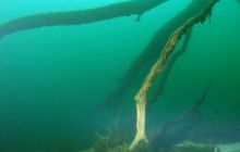 Jezioro Jasne - grudzień 2008