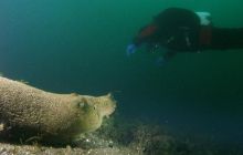 Jezioro Jasne - grudzień 2008