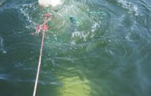 Hańcza - wrzesień 2010